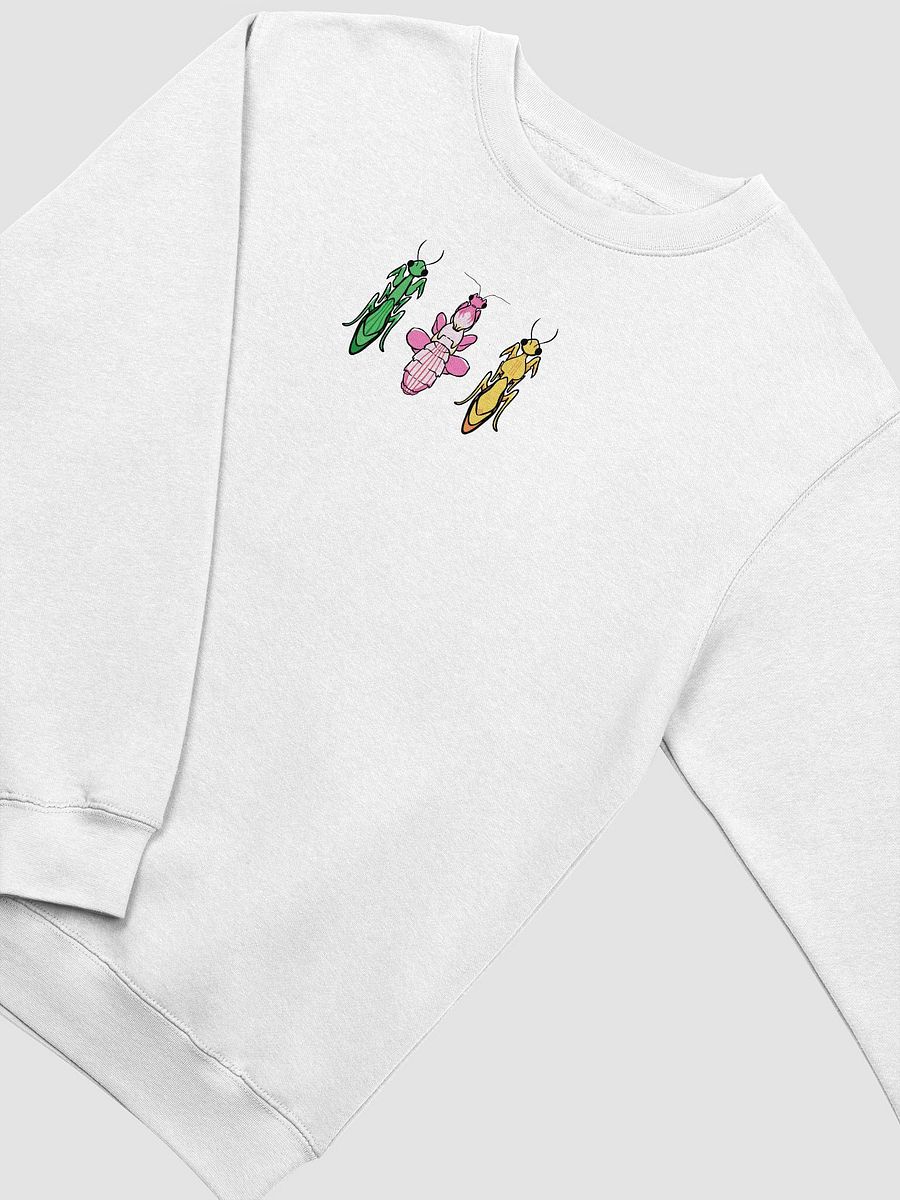 triple threat crewneck product image (15)