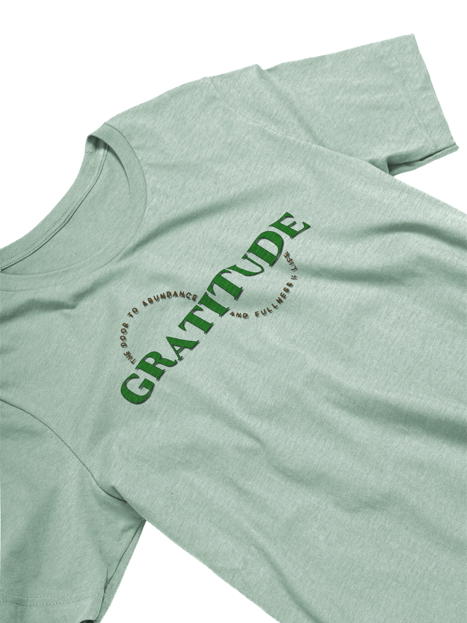 Gratitude Abundance Tee product image (5)