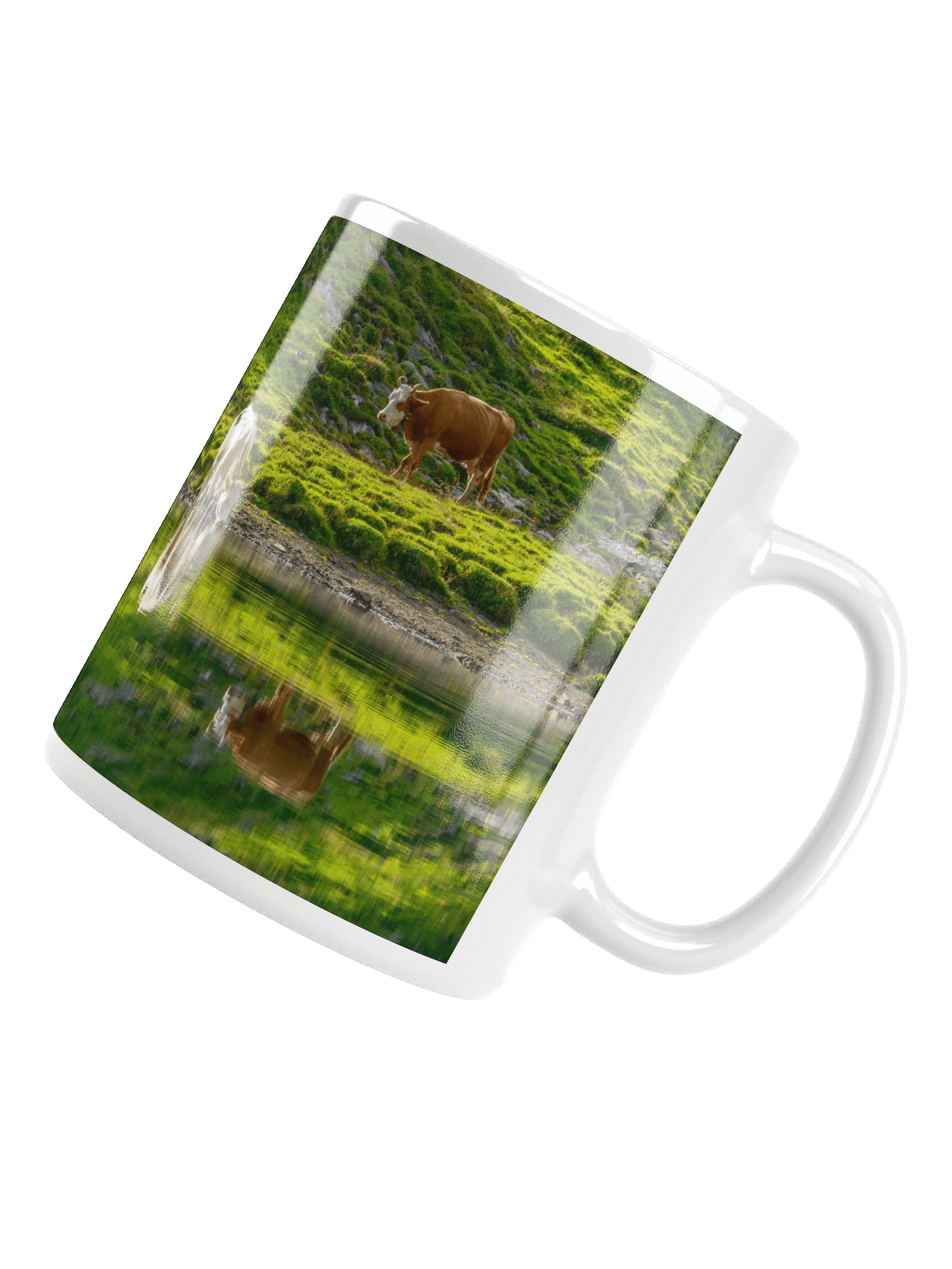 Cows with their reflections product image (14)