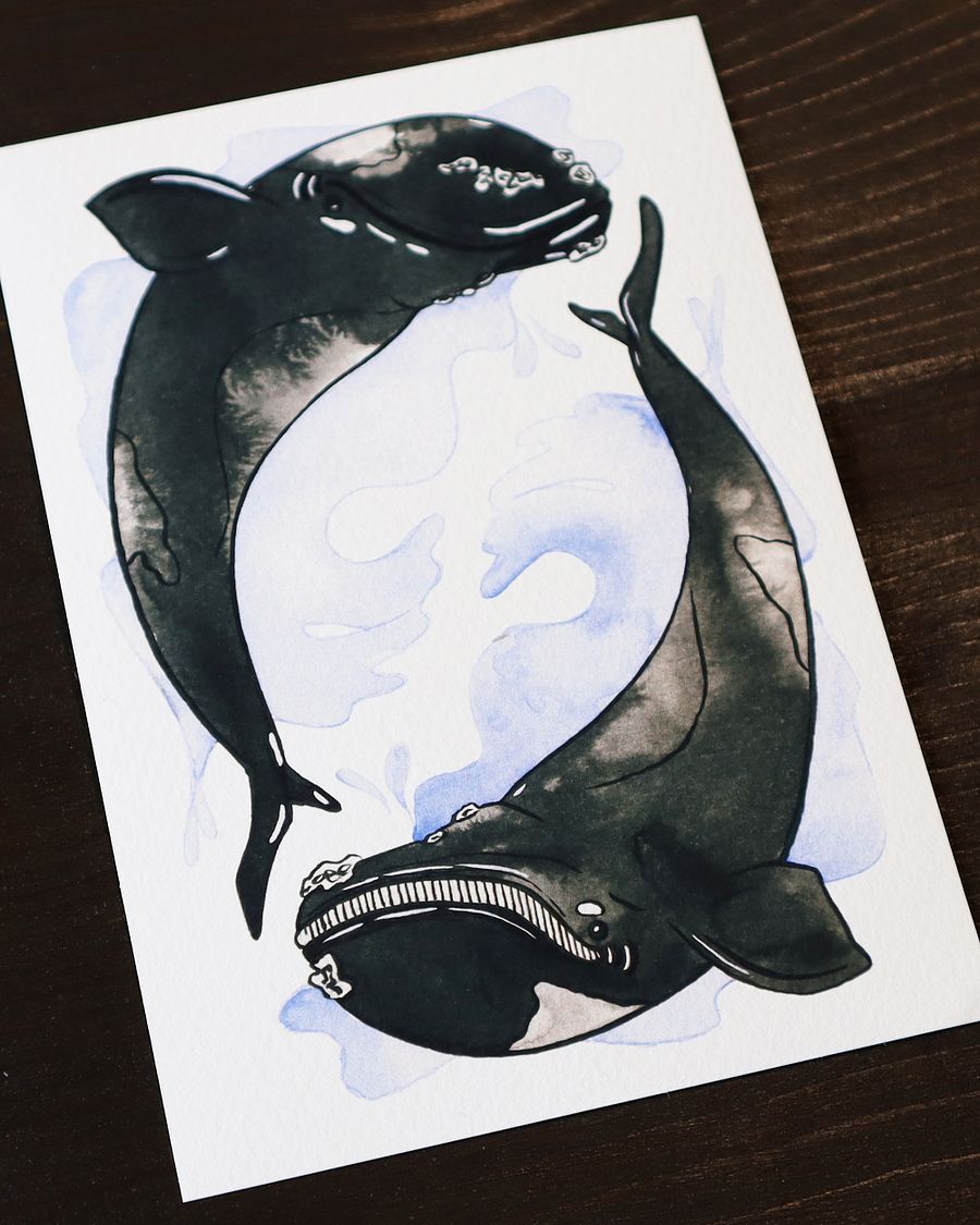 print : whales product image (1)
