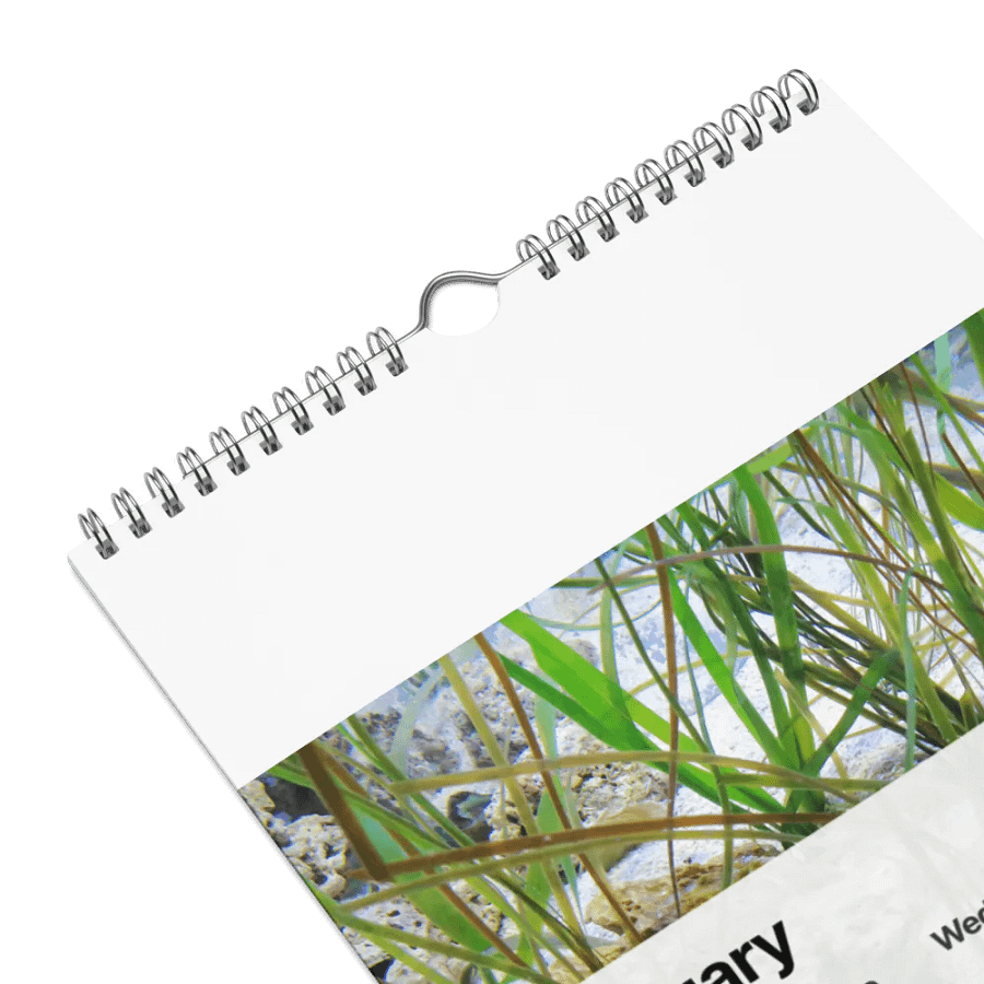 new years product image (16)