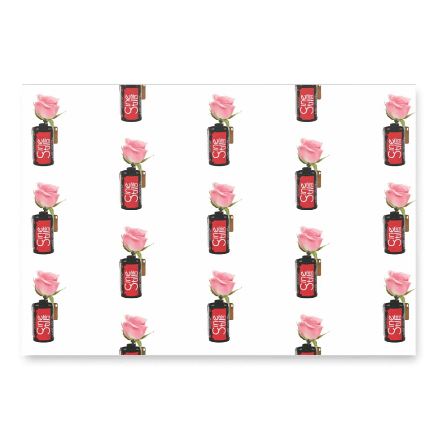 Cinestill Rose Wrapping Paper product image (3)