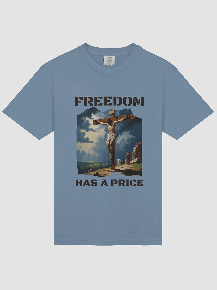 Freedom Has a Price Heavyweight Relaxed Fit T-Shirt product image (3)