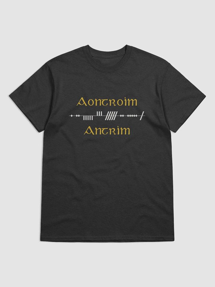Antrim/Aontroim Scholastic style Ogham Printed T-shirt product image (1)
