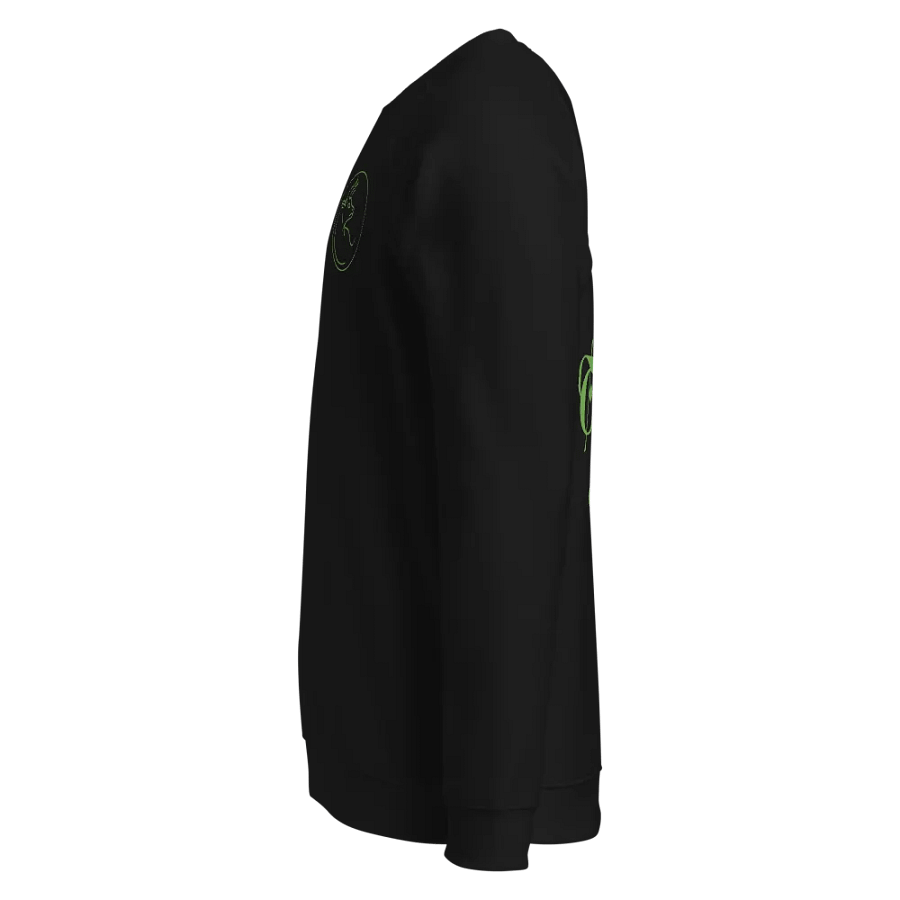 Organic Taurus Outline Raglan Sweatshirt product image (14)