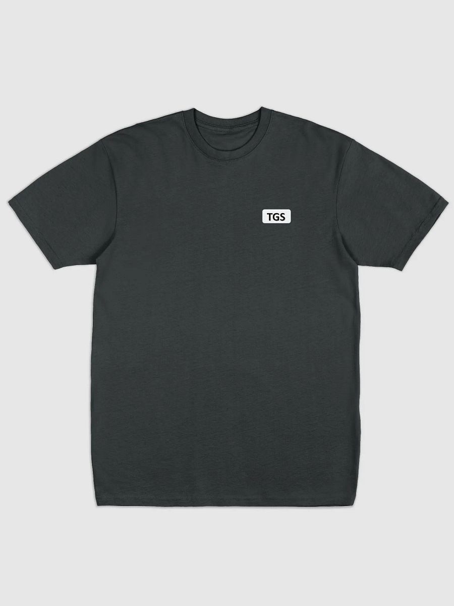 Bold TGS Men's Premium Tee product image (2)