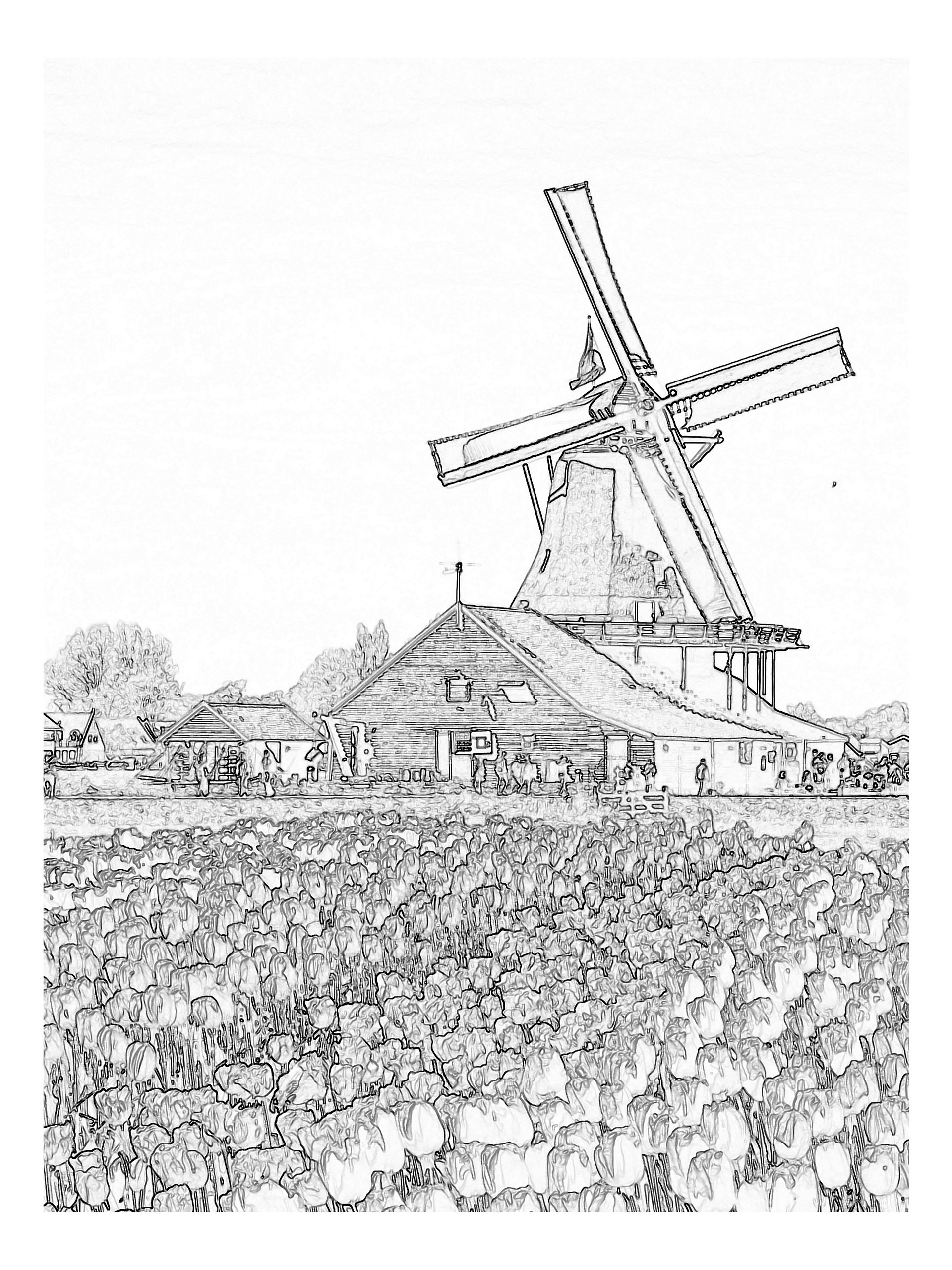 Cool Down [Color] | Adult Coloring Book: Amsterdam product image (3)