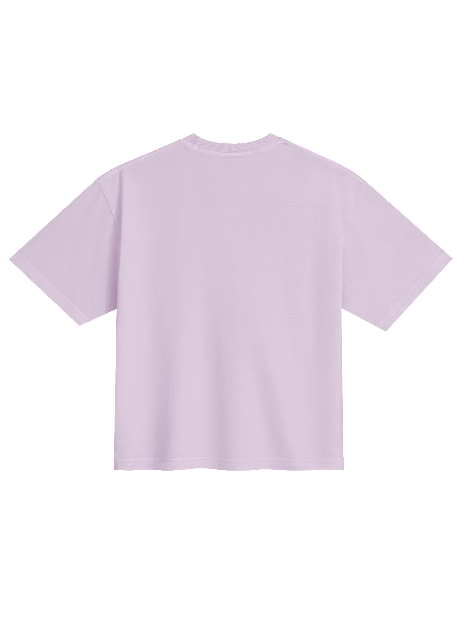 Sorry For Having Great B**Bs And Correct Opinions Heavyweight Boxy T-Shirt product image (3)