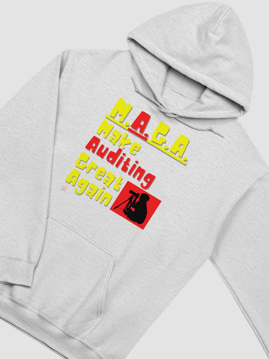 MAKE AUDITING GREAT AGAIN product image (30)