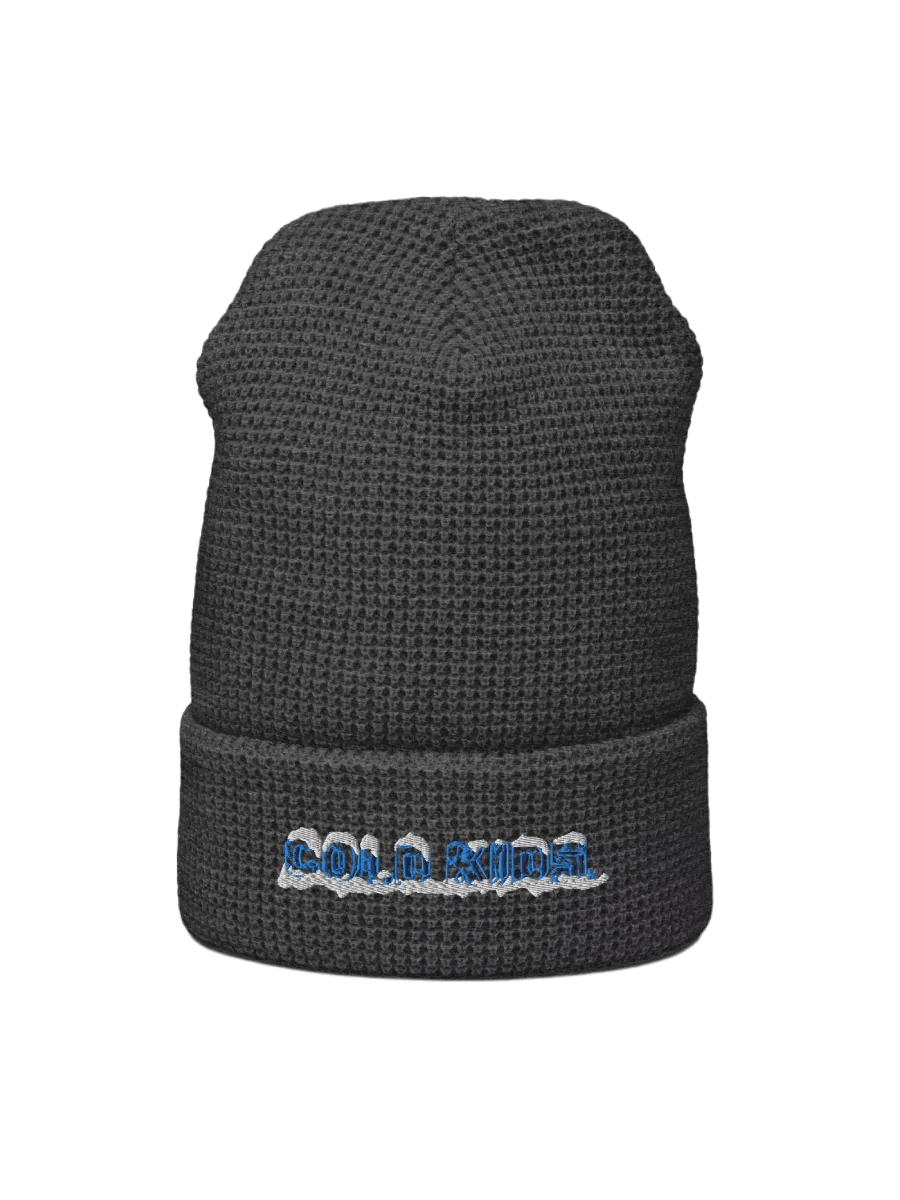 OG Cold Kids Waffle Beanie product image (1)