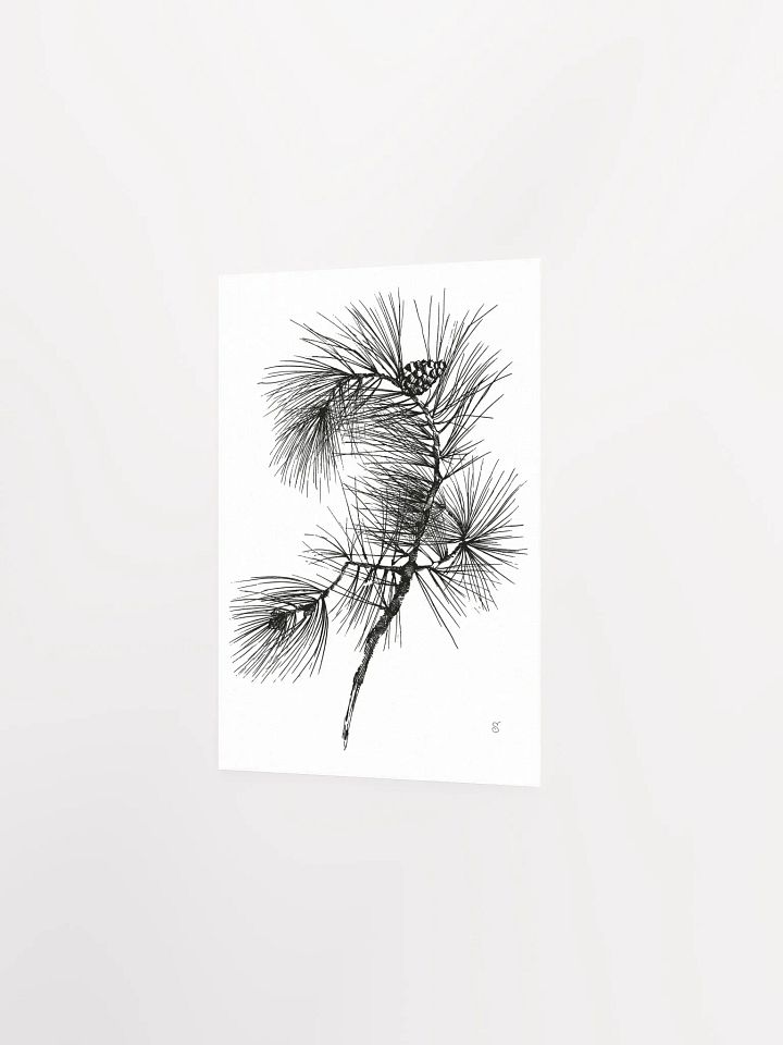 Whimsical Pine Branch Poster - Pine Branch product image (2)