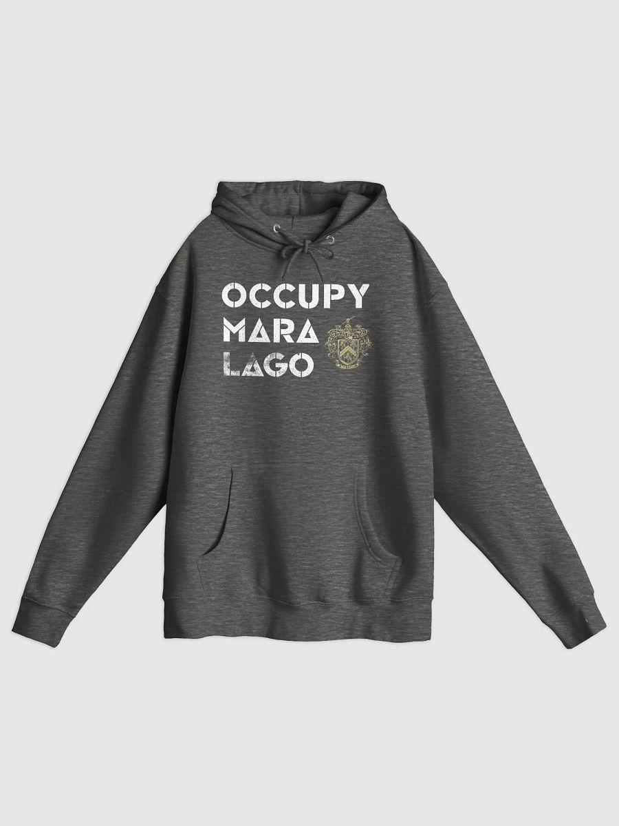 Occupy Mar-a-lago hoodie product image (2)