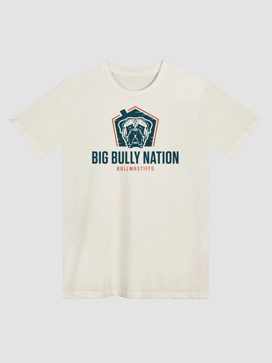BBN T-Shirt product image (4)