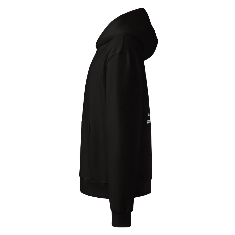 Raven Oversized Hoodie product image (4)