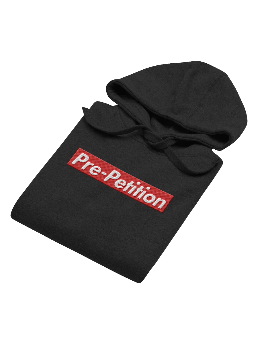 Pre-Petition - Hoodie product image (4)