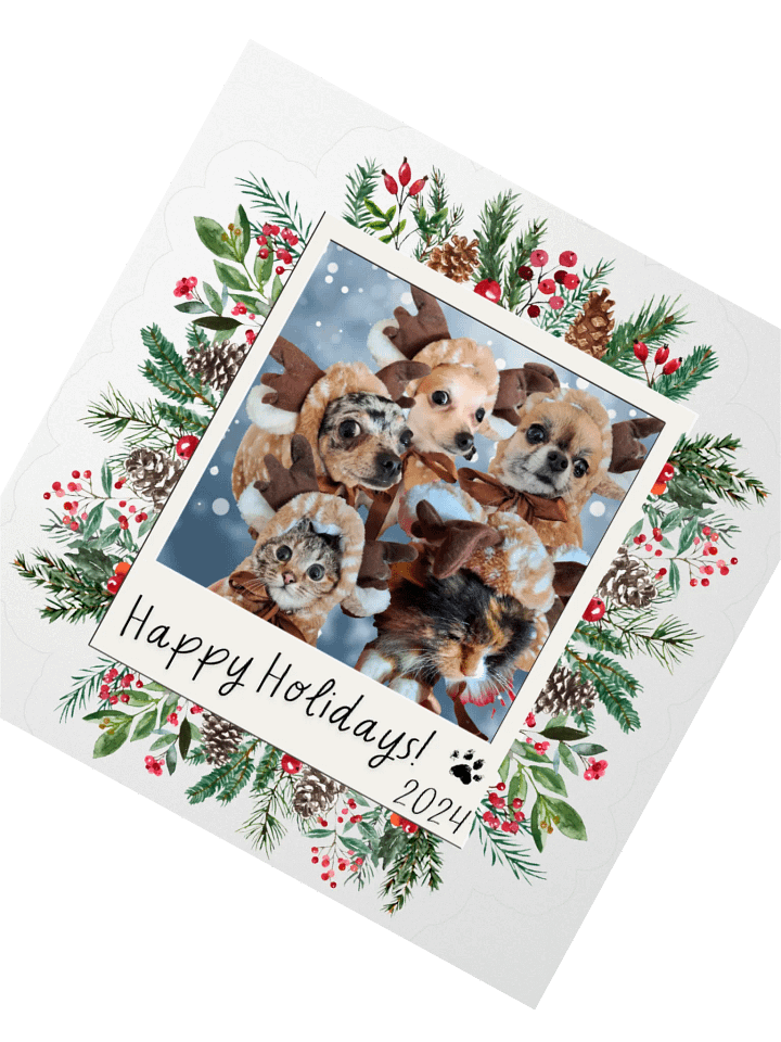 LIMITED EDITION Sticker - Paws [Holidays 2024] product image (2)