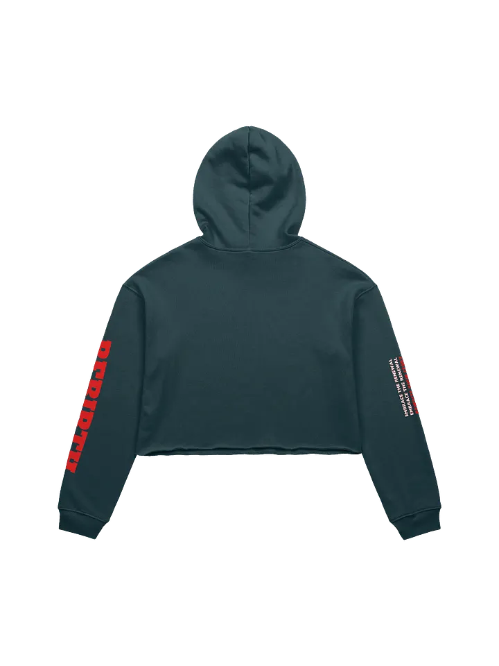 Rebirth Cropped Hoodie product image (2)
