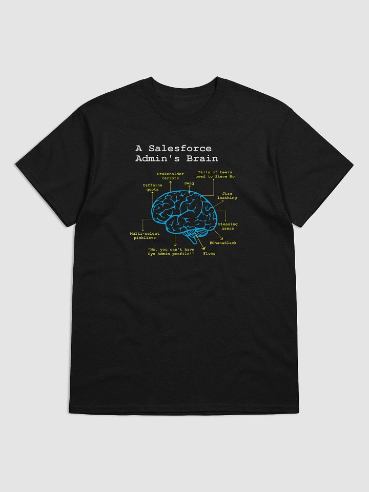 A Salesforce Admin’s Brain product image (3)