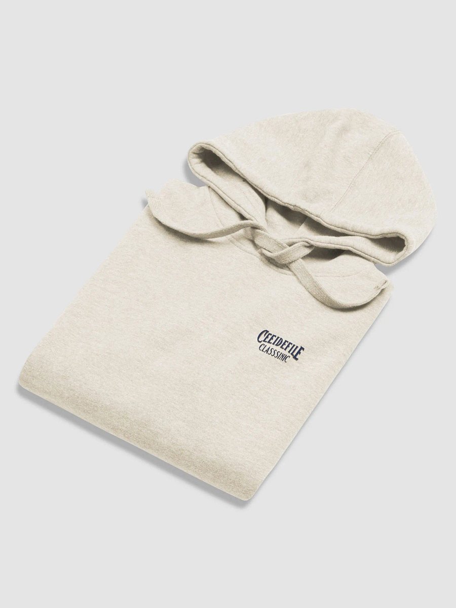 Cee De File Classic Cotton Hoodie product image (24)