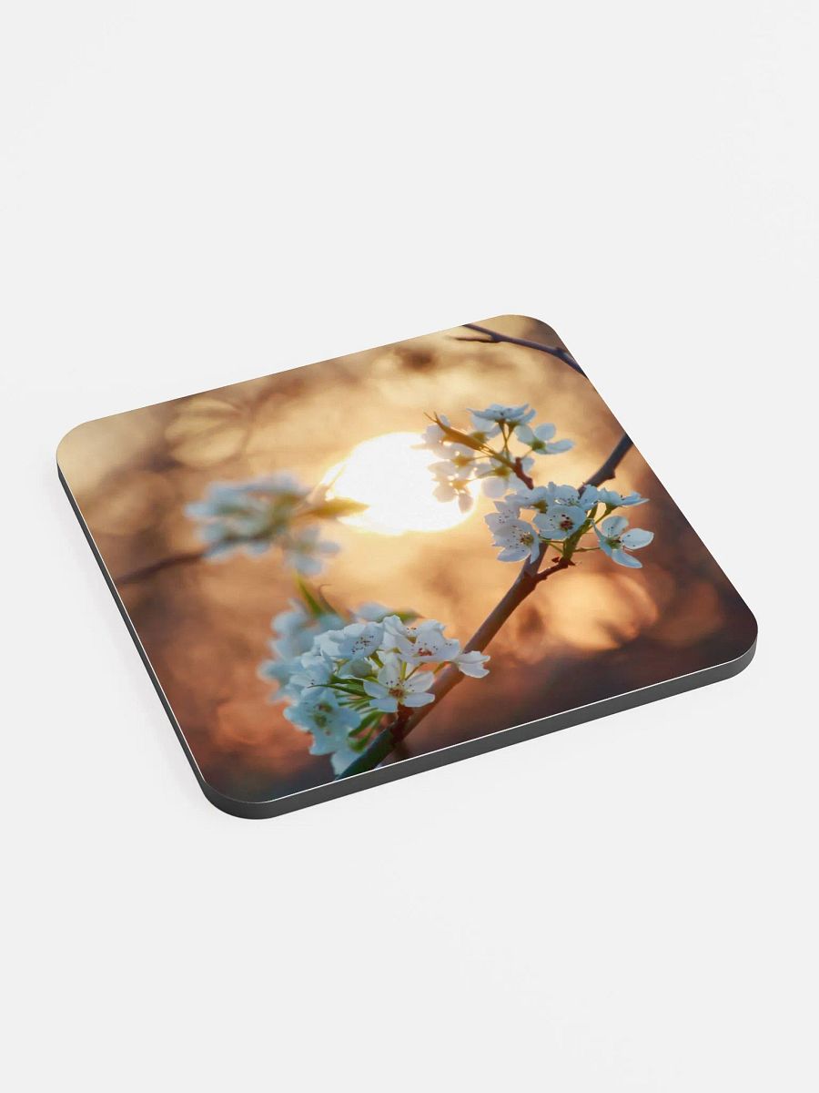 Blossoms Coaster product image (3)