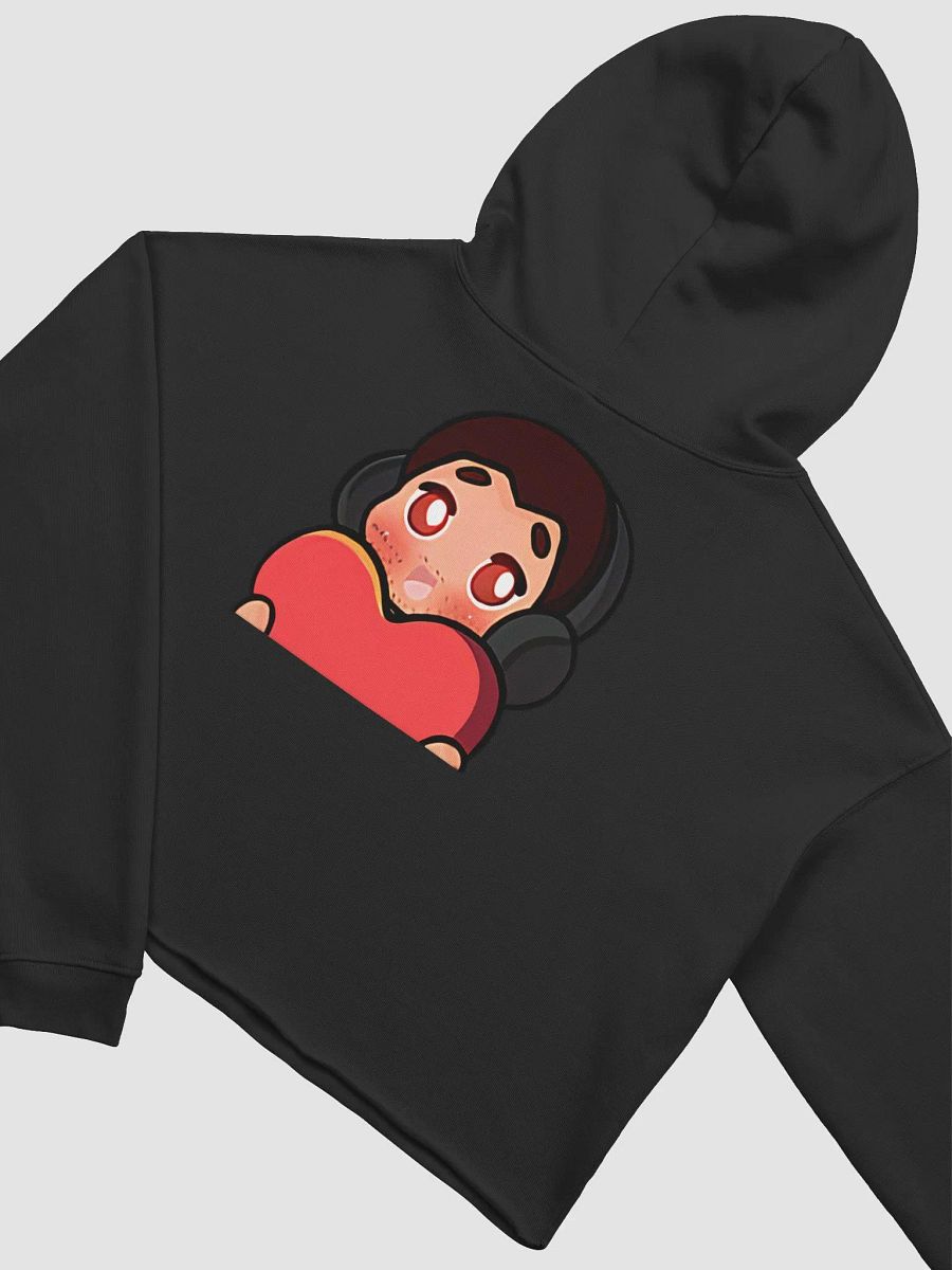NathanGamerplays Hoodie product image (14)