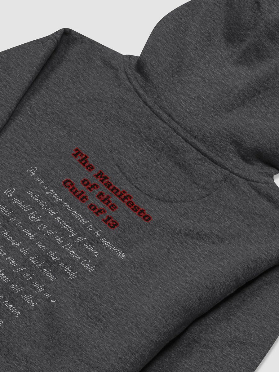 Manifesto Hoodie product image (12)