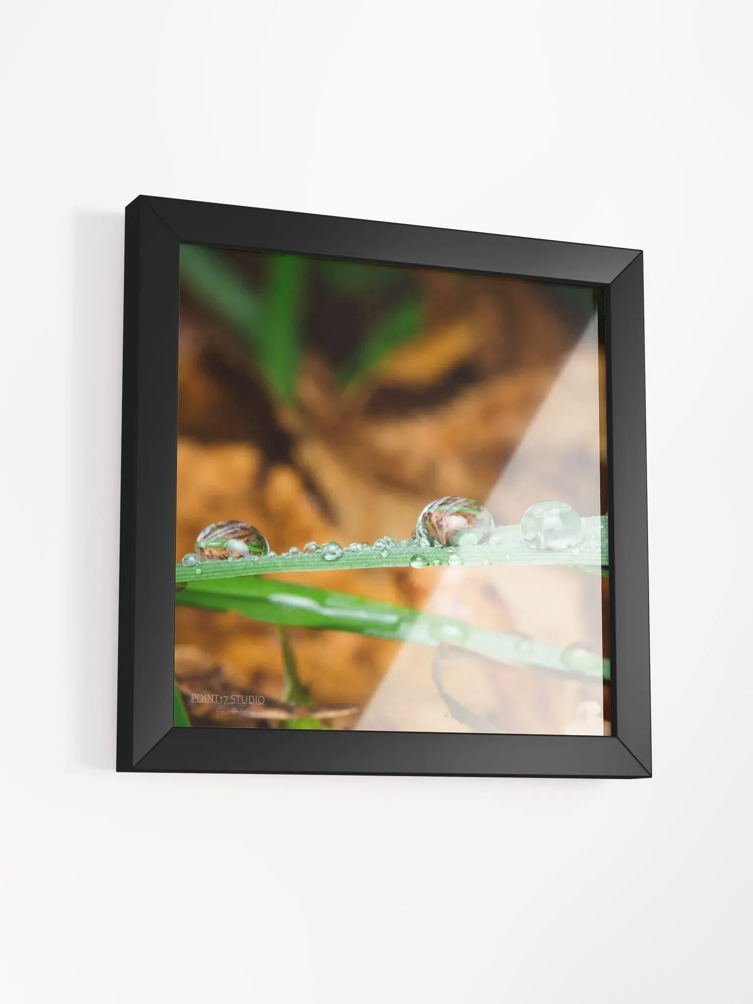 Dew Gems #11 - Framed Print product image (3)