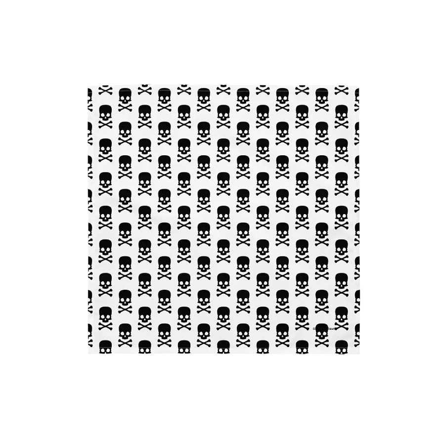 Skull & Crossbones Bandana product image (4)