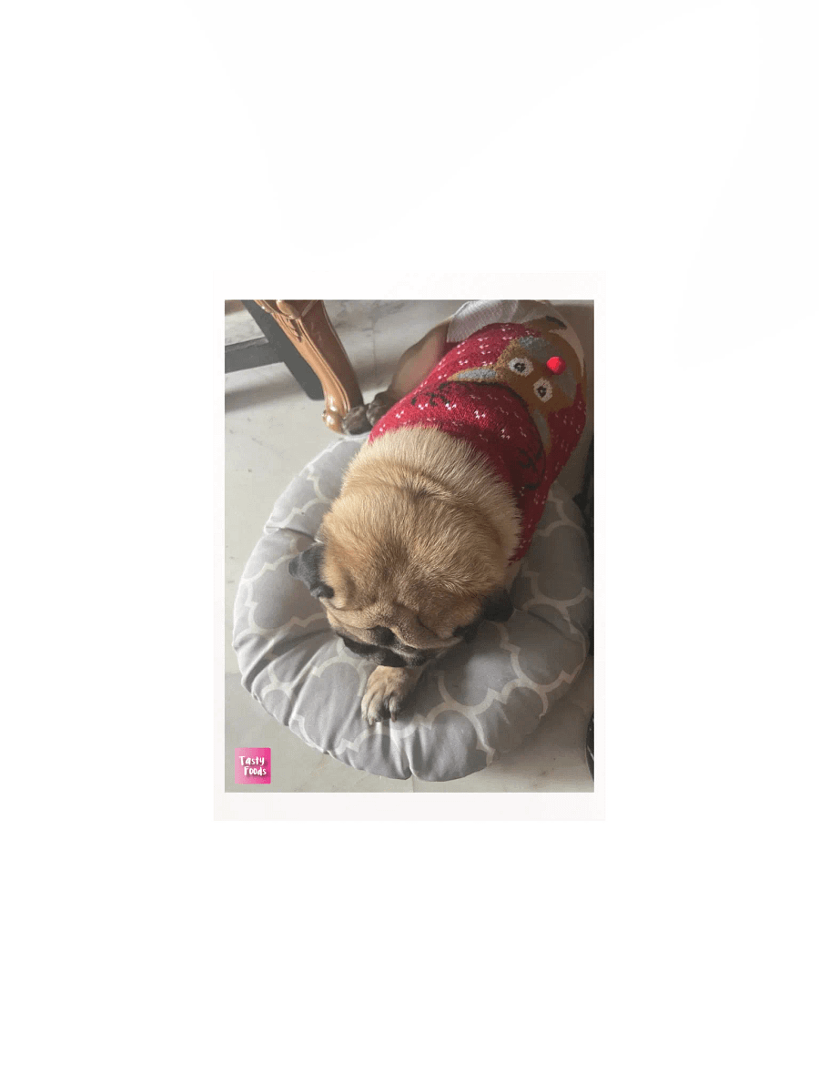 Pug Poster product image (1)