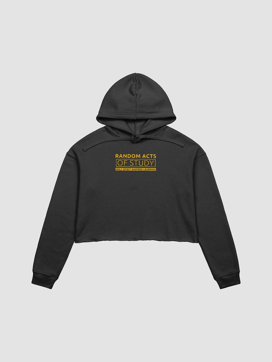 Divine Learning Crop Hoodie product image (1)