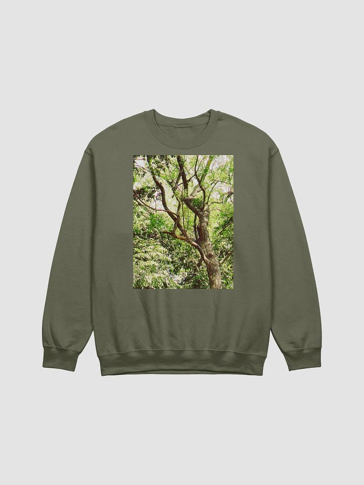 Earth tone DIVINE MUSIC sweatshirt product image (1)