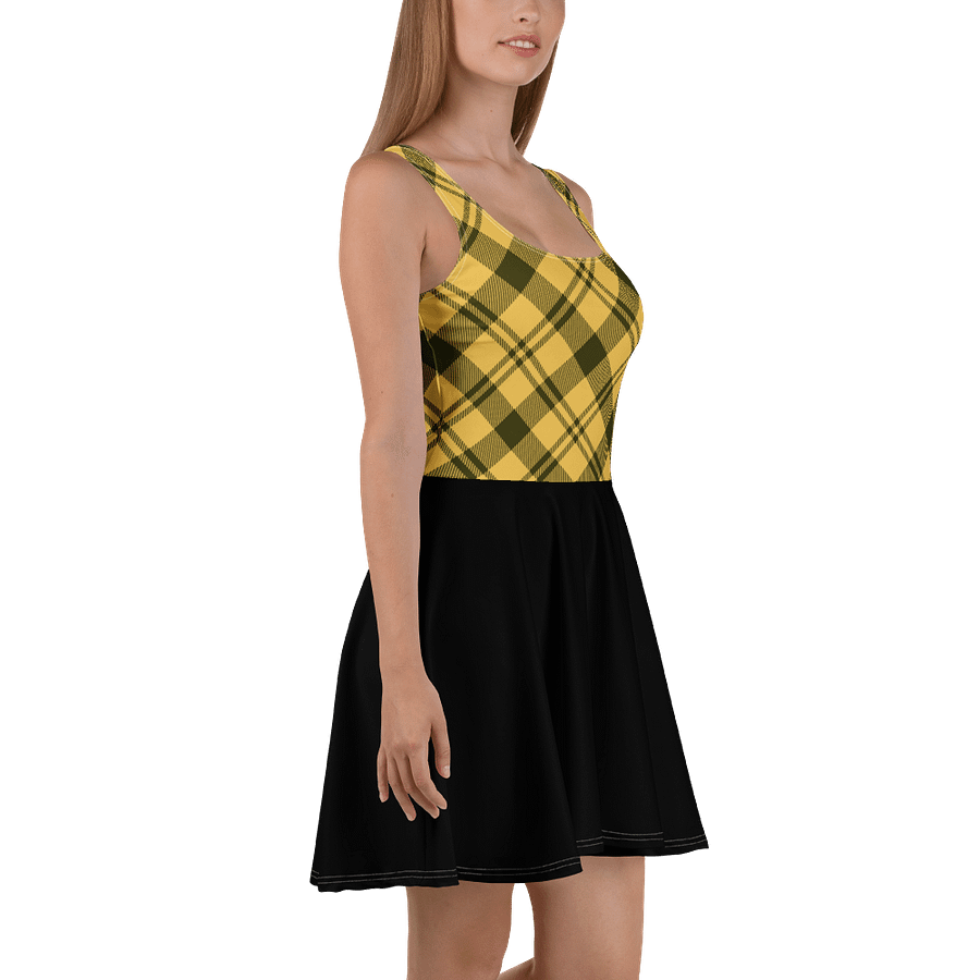 Zabu Plaid Paradise Sleeveless Skater Dress product image (3)