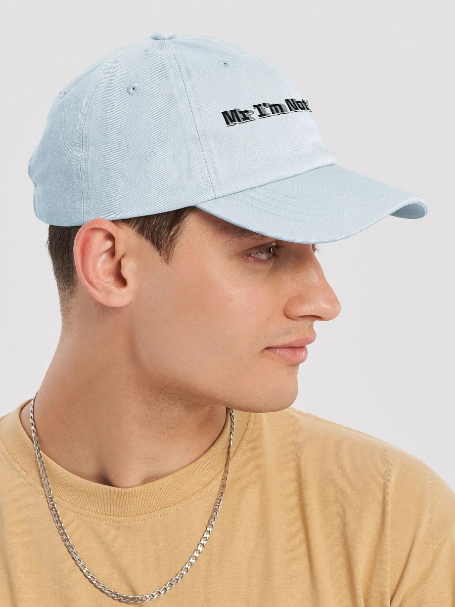 Pastel Dad Hat - Embroidered - Mr I'm Not Important product image (6)