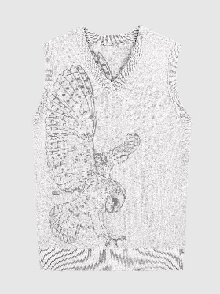 Take Flight - Jacquard V-Neck Vest product image (1)