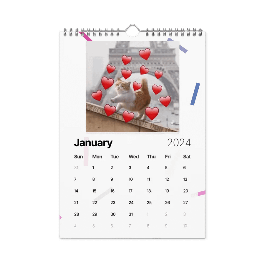 Wall Calendar (2024): Meme Cats product image (8)