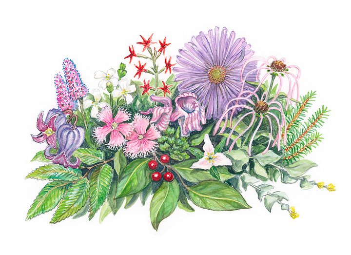 Endangered Spring - Art Print product image (1)