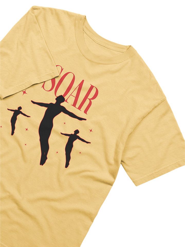 Soar High Comfort: Garment-Dyed Tee product image (35)
