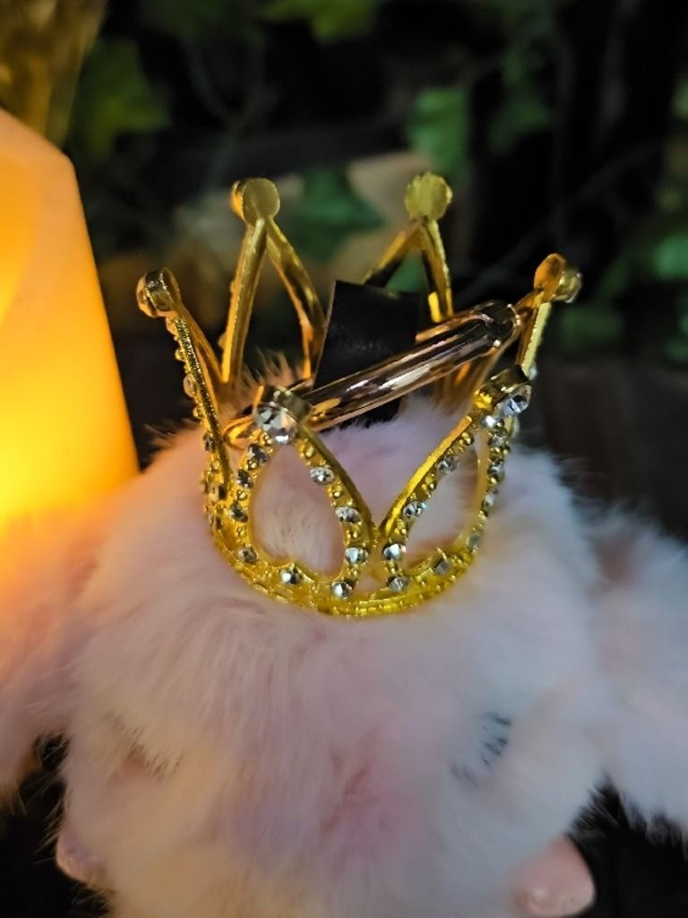 The Armored Kingdom Crowned Baby Pink Snugglehop Bunny Keychain product image (3)