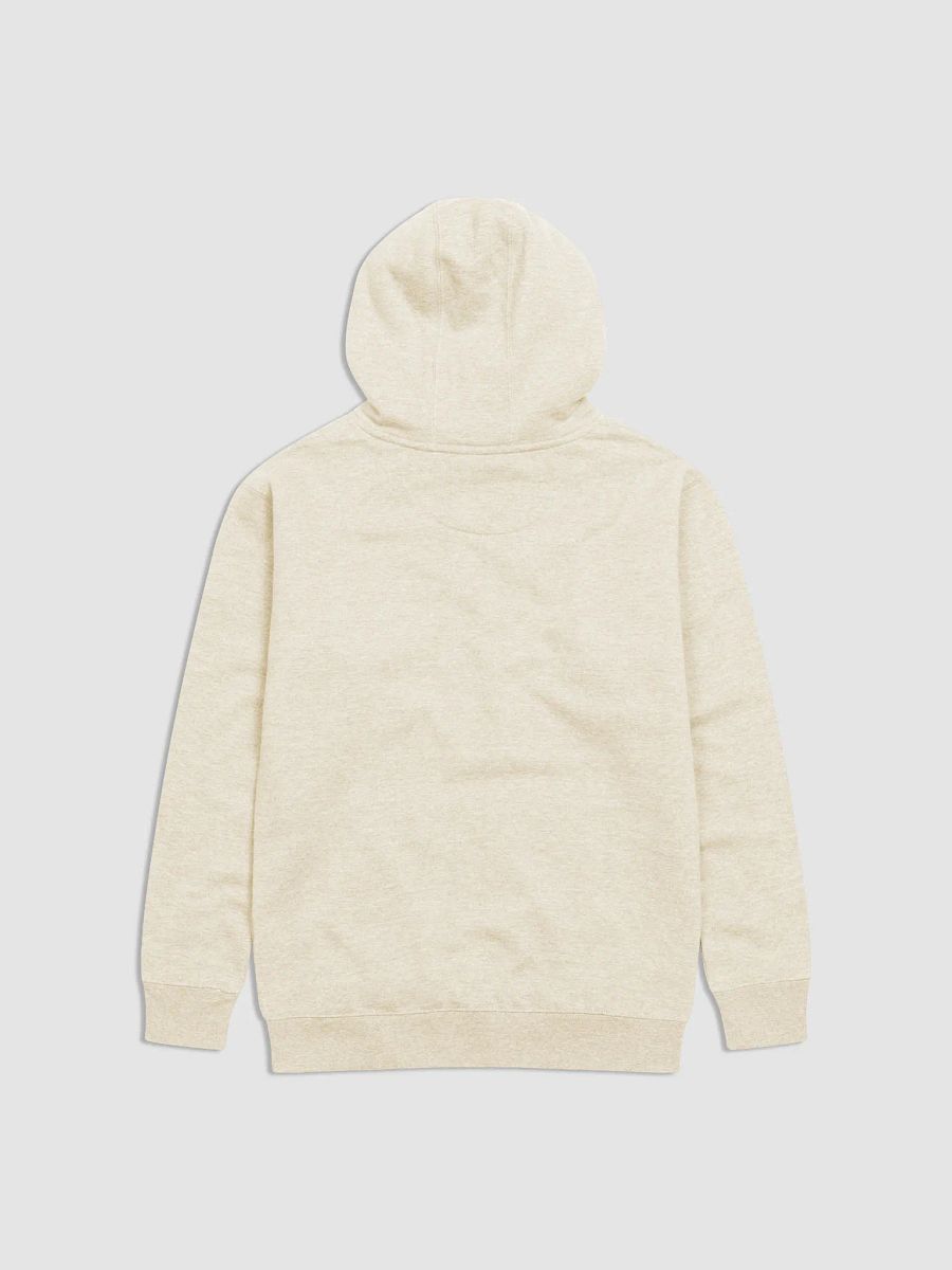 Spiritual Words Premium Hoodie product image (2)