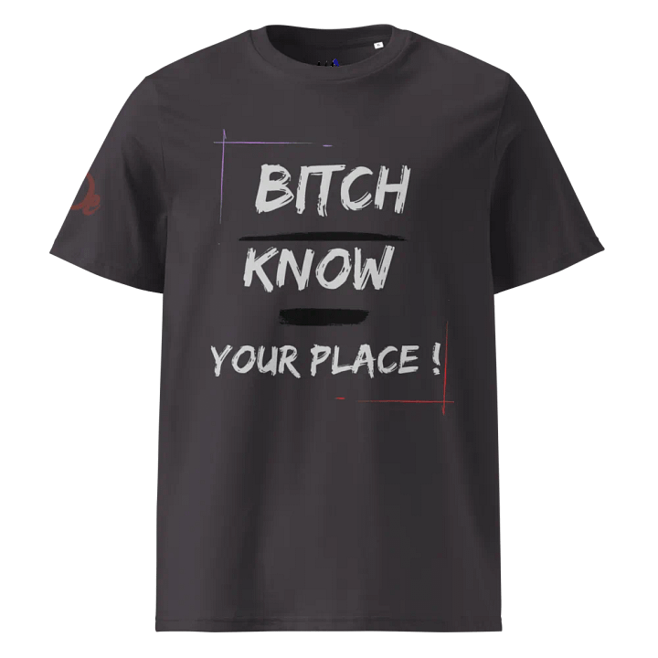 Bold Statement Tee, Know Your Place, Confident Attitude Shirt, Fearless Expression Tee, Edgy Graphic Shirt, Stand Your Ground product image (5)