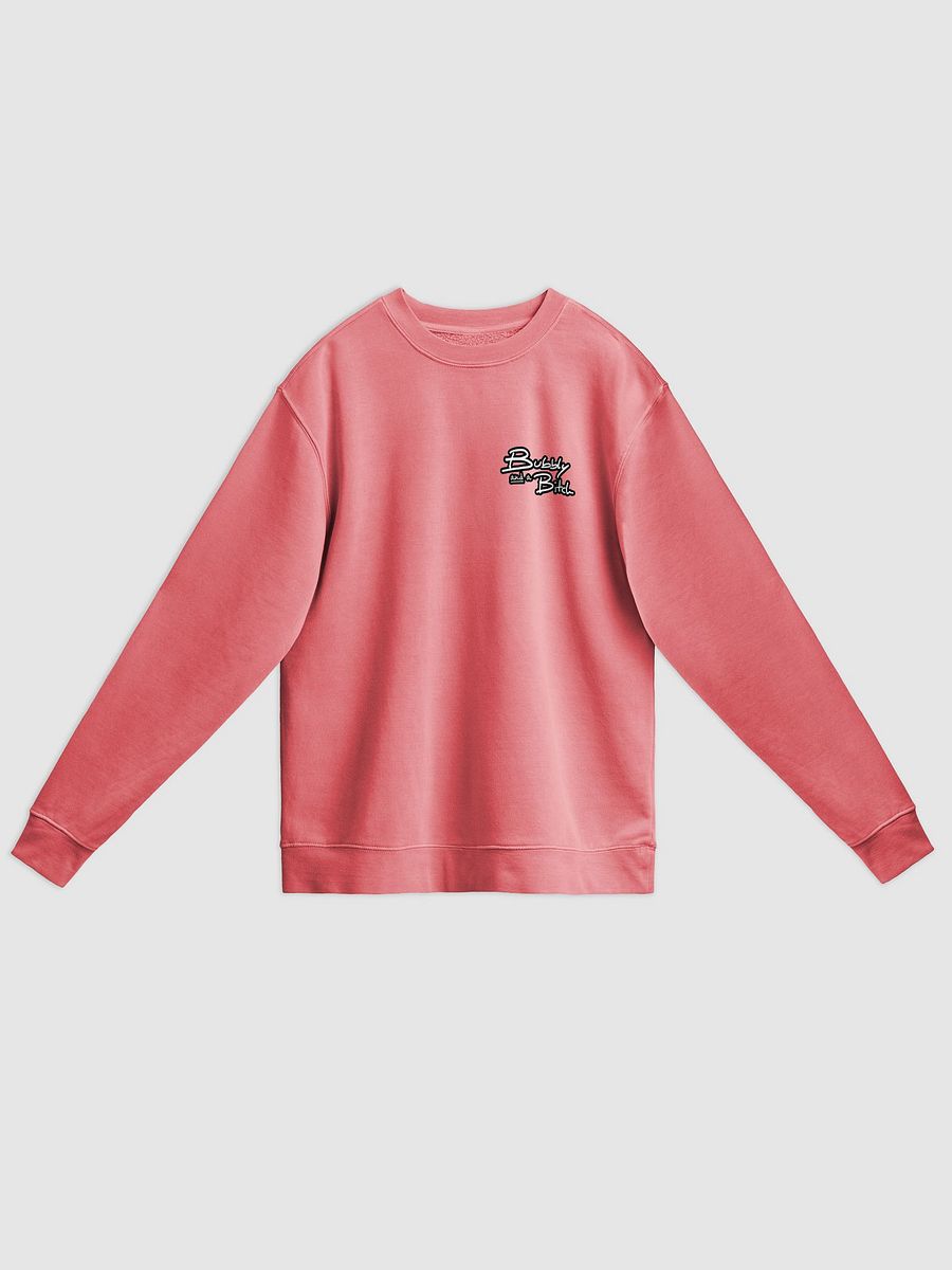 Bubbly and a B*tch (sm. lined design) printed pigment crewneck product image (19)