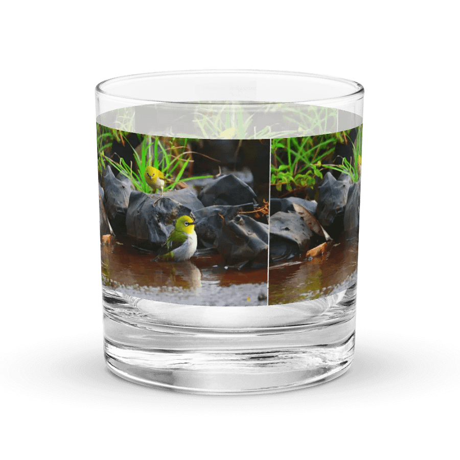 IUCAA Birds GLASS product image (3)