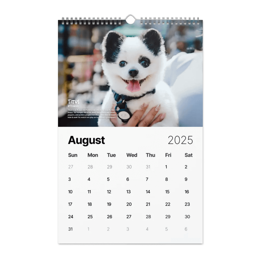 Official 2025 Calendar product image (3)