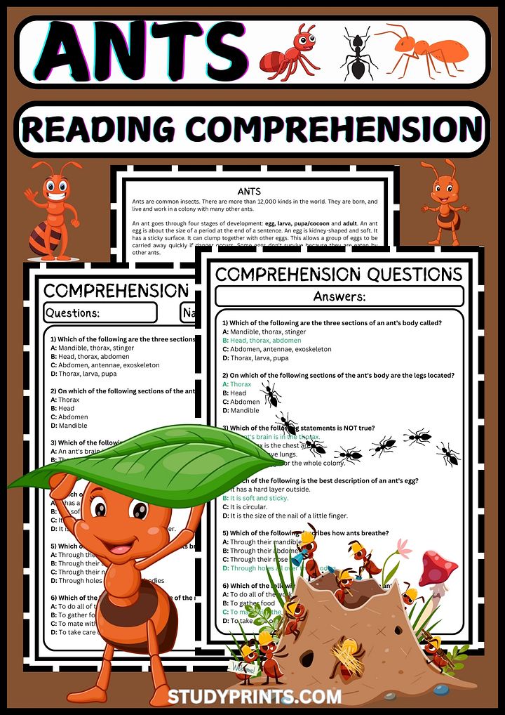 Ants Reading Comprehension Worksheet product image (1)
