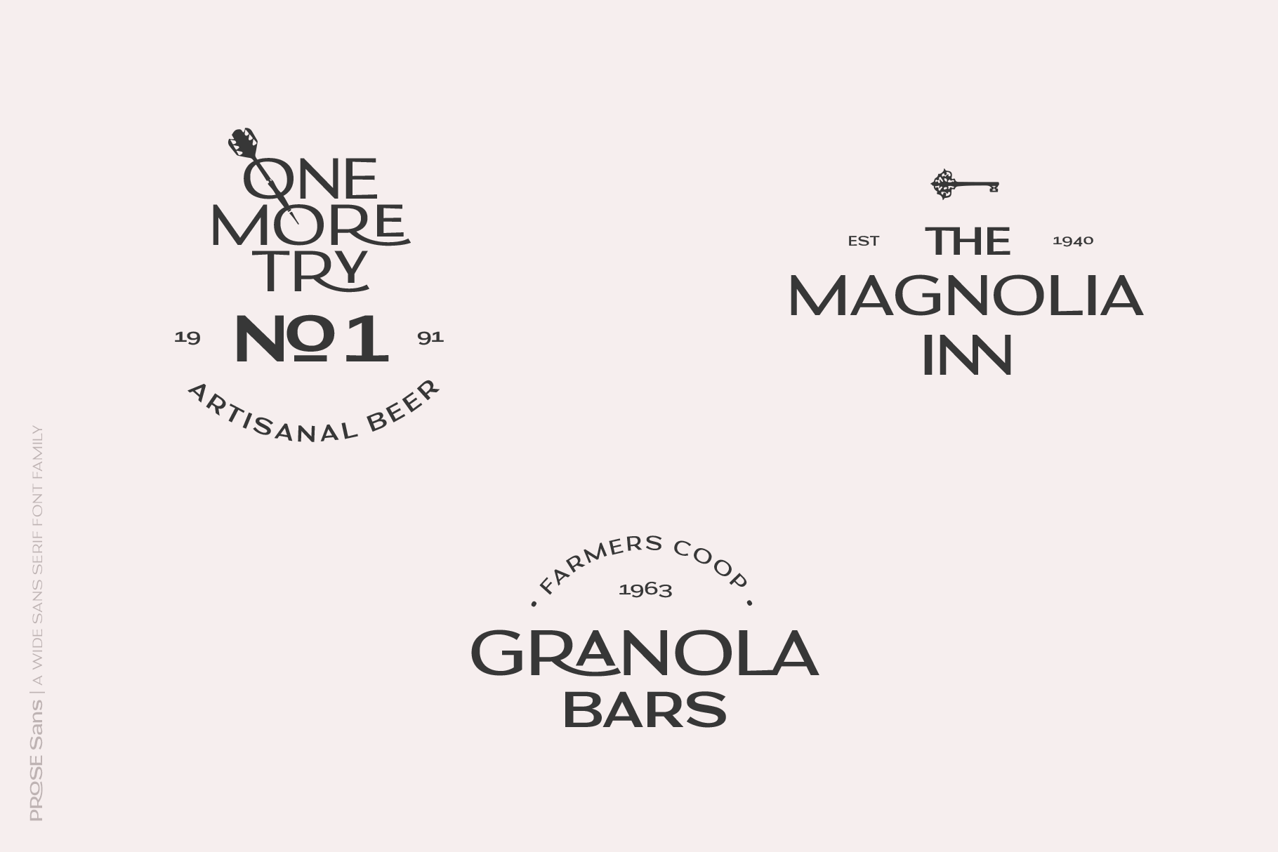 Prose Sans | A Wide Sans Serif Font Family product image (4)