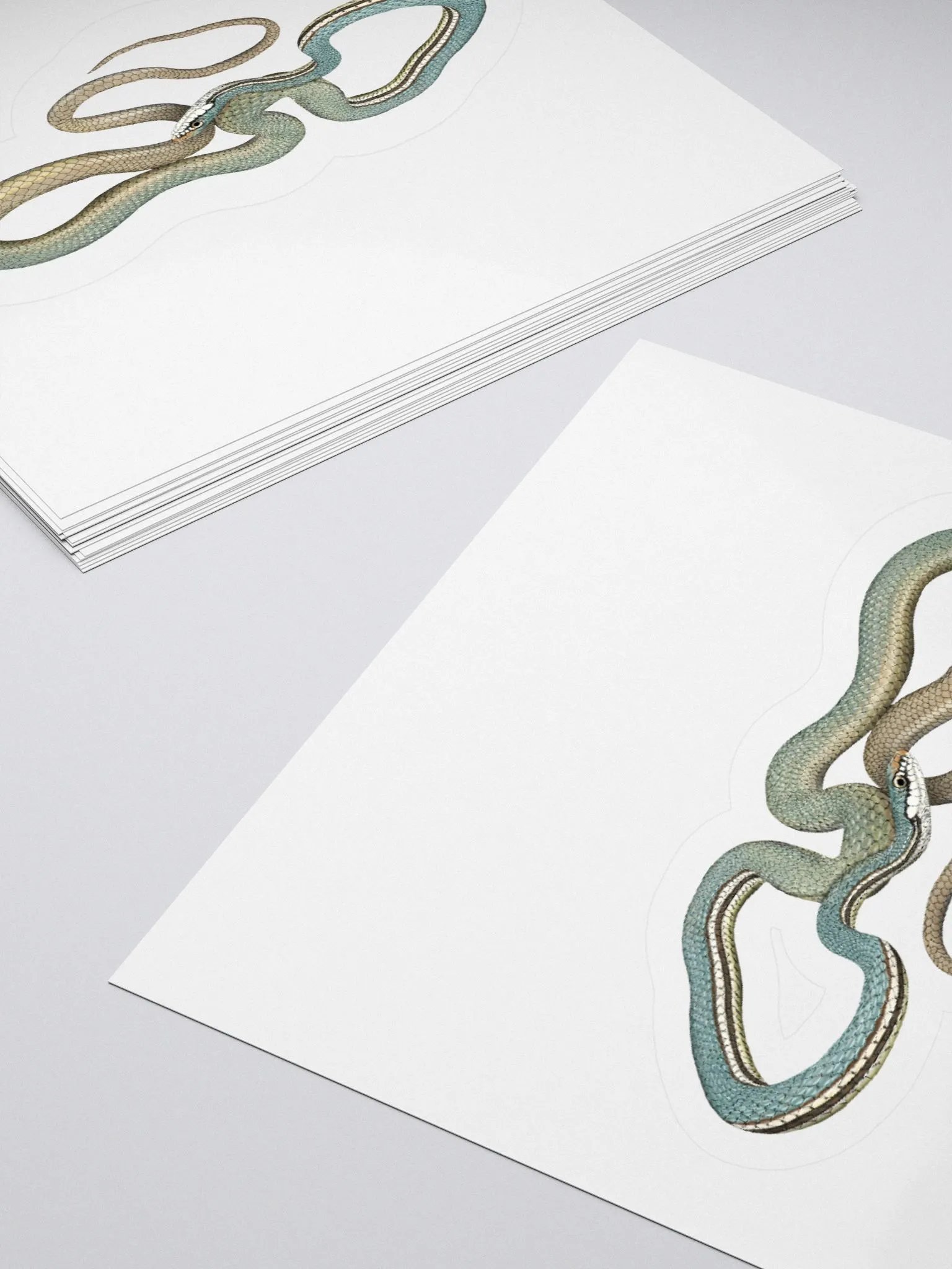 Die-Cut Sticker – Sonoran Whipsnake product image (4)