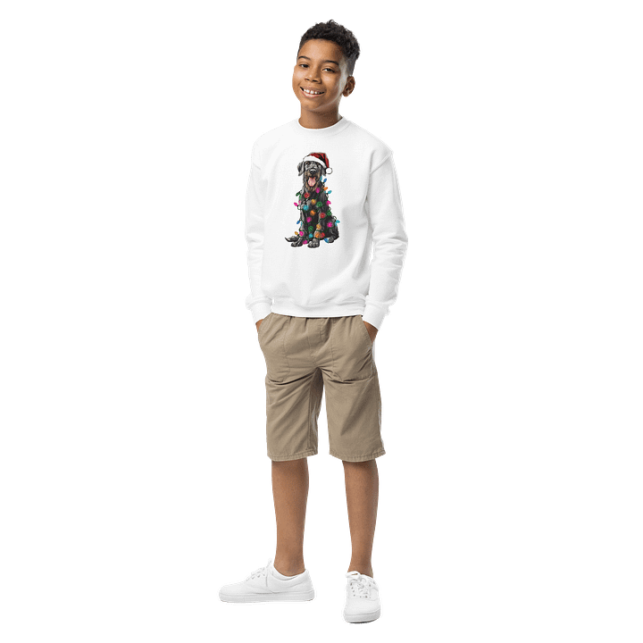 Funny Christmas Irish Wolfhound(Gray) Youth Sweatshirt product image (6)