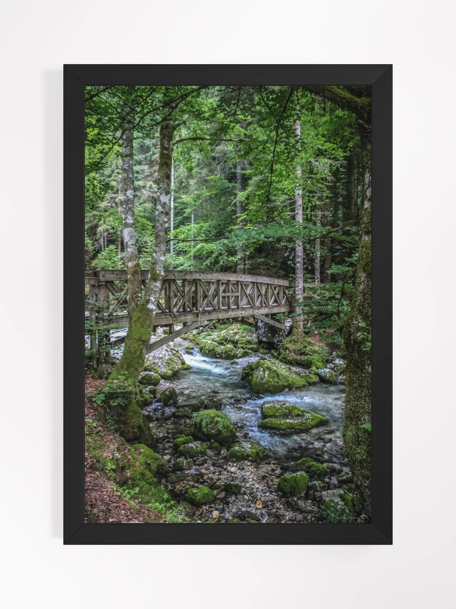 Print Fine Art Prestige – Limited edition - The Enchanted Bridge – Forest Whispers product image (1)