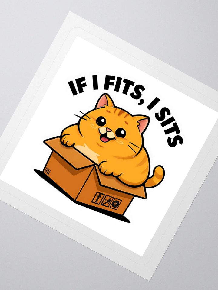 If I Fits, I Sits Cat in Box Sticker product image (4)