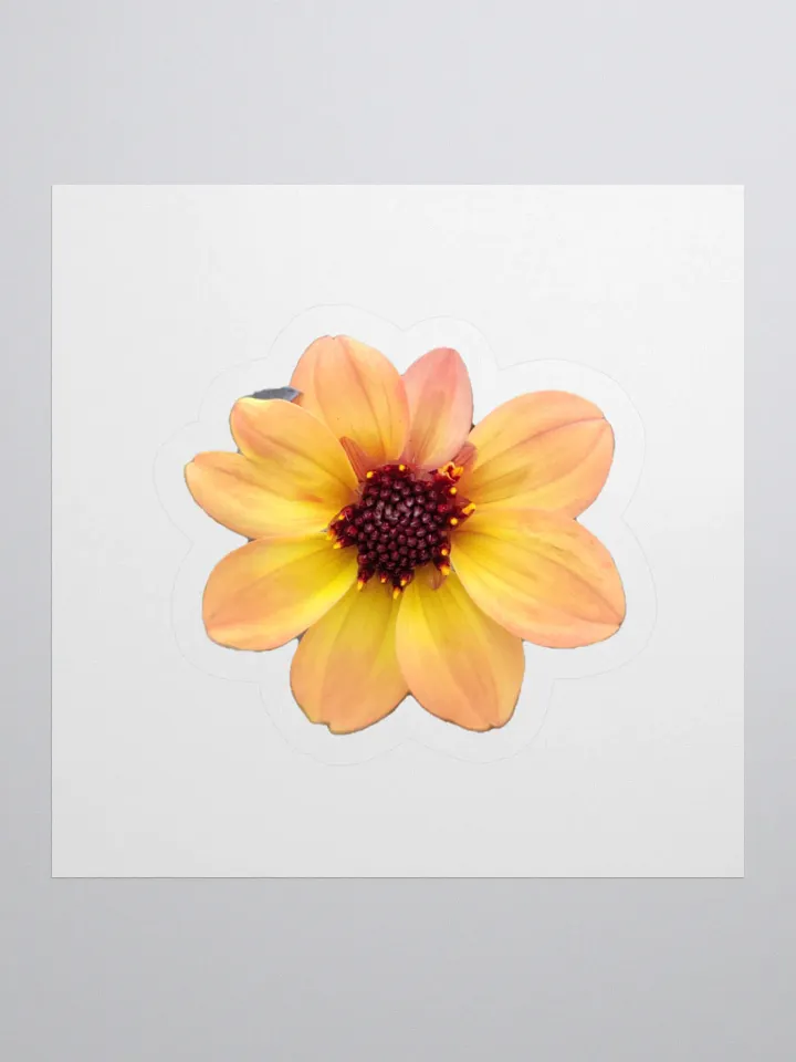 Flower Stickers v3 product image (1)